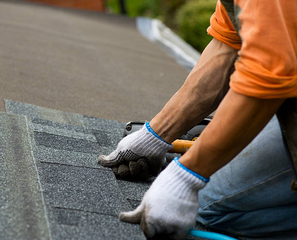 Best Roof Gutter Cleaning  in Maize, KS
